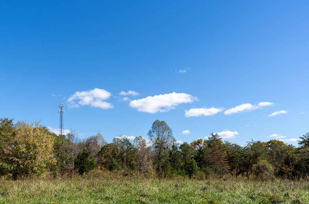 Dillard Industrial Lot D 3